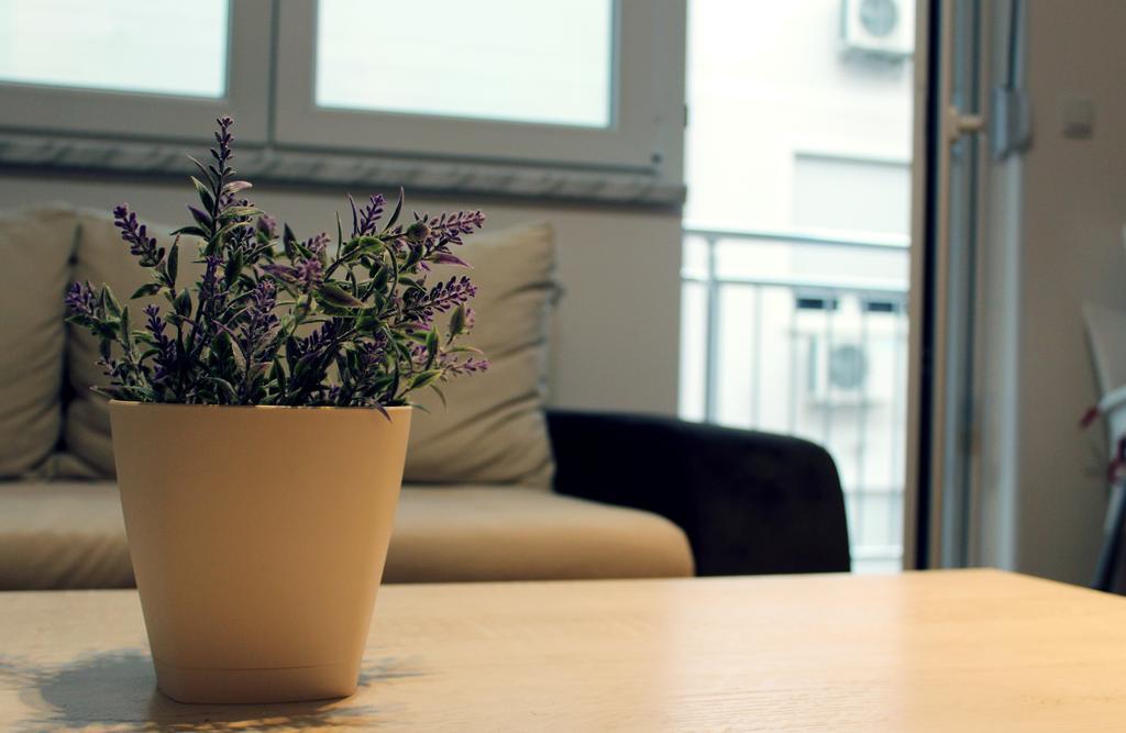 Leonis Apartment *